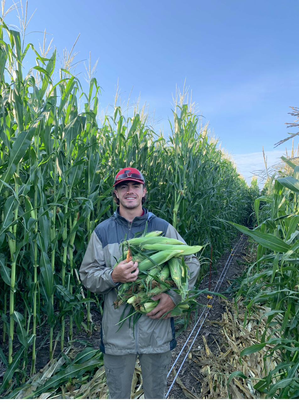 Jake Burge in a Nebraska cornfield